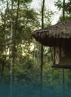 on-vacation-colombia-destino-amazonas-hotel-amazon-servicios-turisticos-reserva-tanimboca