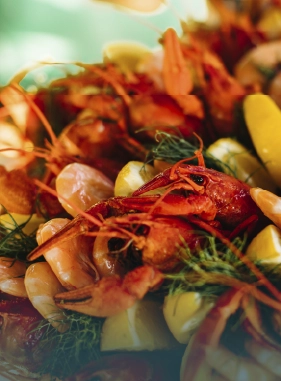 on-vacation-colombia-destino-covenas-hotel-ciela-servicios-extras-atracciones-gastronomia-local