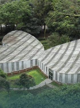 on-vacation-colombia-destino-eje-cafetero-hotel-tucanes-servicios-turisticos-mariposario