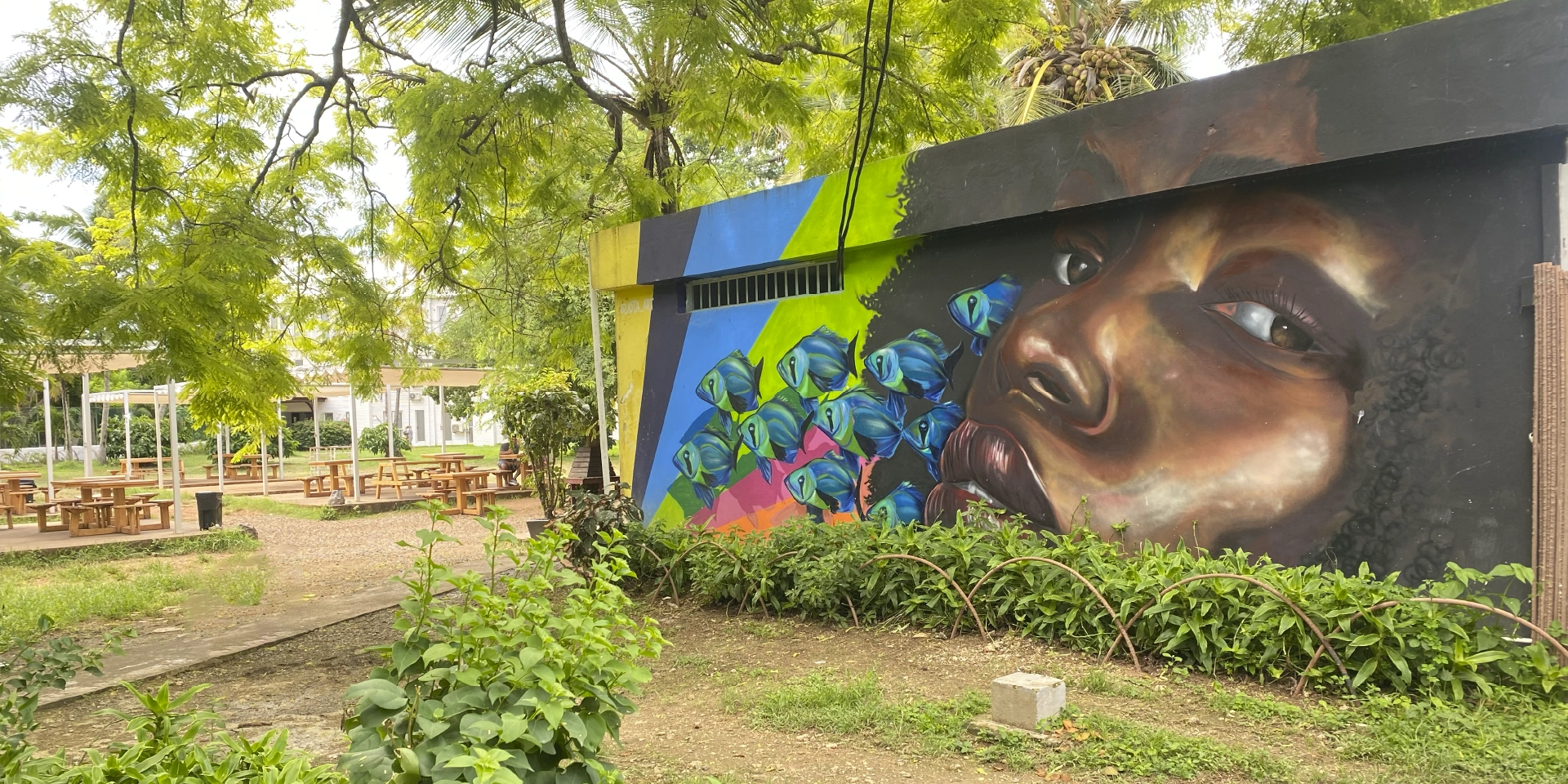 on-vacation-colombia-destino-nacional-san-andres-hotel-cove-green-house-respaldo