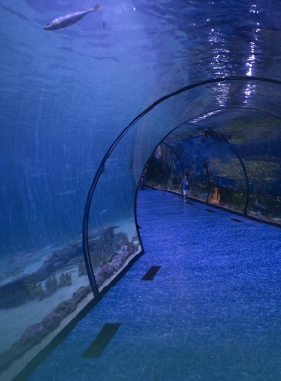 on-vacation-colombia-destino-nacional-santa-marta-hotel-mendihuaca-servicios-extras-tour-acuario-tunel