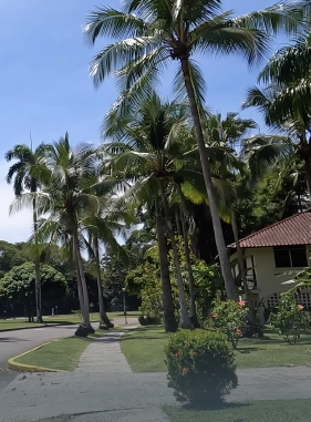 on-vacation-colombia-destino-panama-servicios-lugares-turisticos-clayton