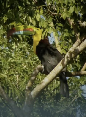 on-vacation-colombia-destino-panama-servicios-lugares-turisticos-parque-natural-metropolitano