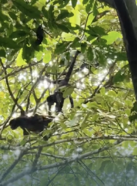 on-vacation-colombia-destino-panama-servicios-lugares-turisticos-pipeline-road