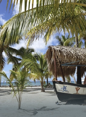 on-vacation-colombia-destino-punta-cana-servicios-extras-atracciones-isla-saona