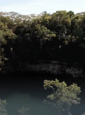 on-vacation-colombia-destino-punta-cana-servicios-extras-atracciones-parque-nacional-los-tres-ojos