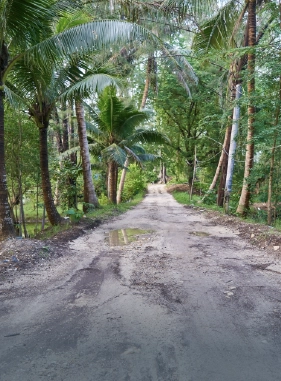 on-vacation-colombia-destino-punta-cana-servicios-lugares-turisticos-hacienda-bavaro