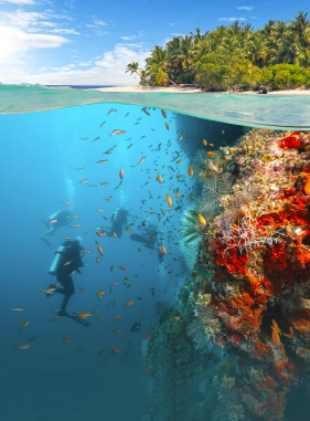 on-vacation-colombia-destino-san-andres-servicios-extras-y-atracciones-buceo