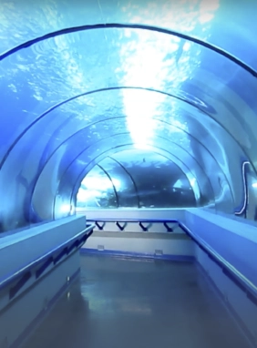 on-vacation-colombia-destino-santo-domingo-servicios-extras-atracciones-acuario-nacional