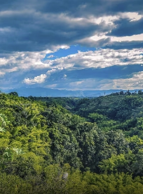 on-vacation-de-colombia-destino-eje-cafetero-servicios-lugares-turisticos-mirador-montenegro