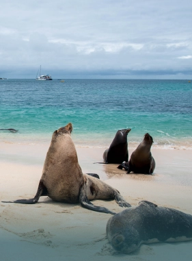 on-vacation-ecuador-destino-galapagos-servicios-extras-atracciones-playa-punta-carola