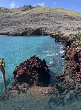 on-vacation-ecuador-destino-galapagos-servicios-extras-atracciones-tijeretas