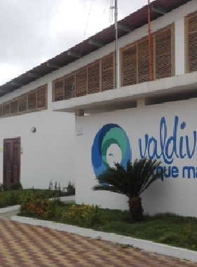 on-vacation-ecuador-destino-montanita-servicios-extras-atracciones-acuario-valdivia