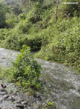 on-vacation-ecuador-destino-montanita-servicios-extras-atracciones-dos-mangas