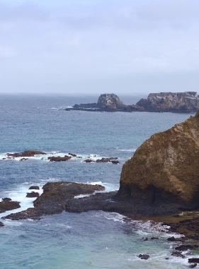 on-vacation-ecuador-destino-montanita-servicios-extras-atracciones-isla-de-la-plata