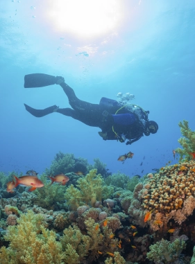 on-vacation-ecuador-destino-montanita-servicios-lugares-turisticos-el-pelado